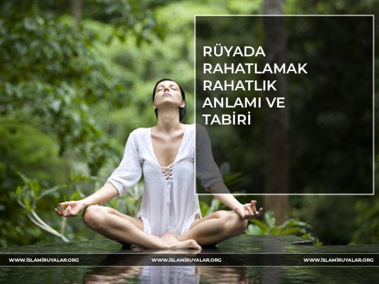 Rüyada Kedi Görmek İslami Rüya Tabirleri, İhya, Diyanet, Rüya Tabirleri