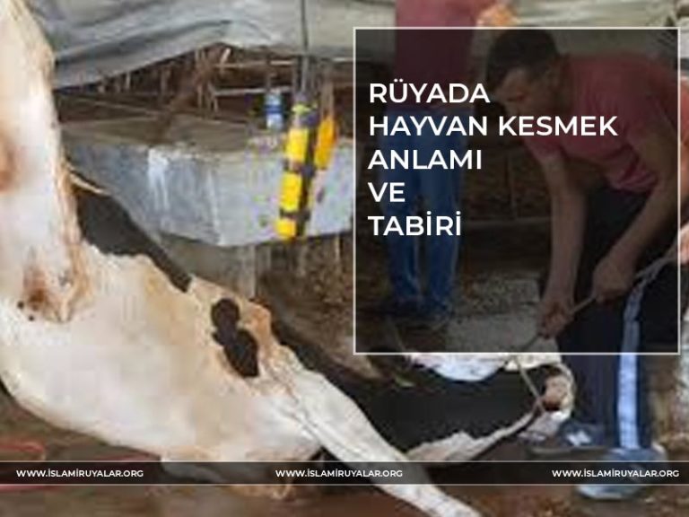 Rüyada Çorap Görmek İslami Rüya Tabirleri, İhya, Rüya Tabirleri